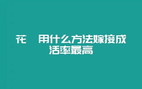 花卉用什么方法嫁接成活率最高-会东网