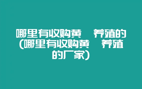 哪里有收购黄鳝养殖的(哪里有收购黄鳝养殖的厂家)-会东网