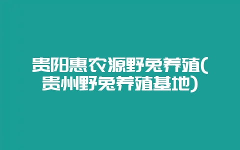 贵阳惠农源野兔养殖(贵州野兔养殖基地)-会东网