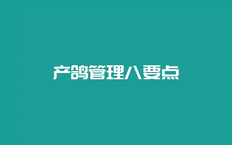 产鸽管理八要点-会东网
