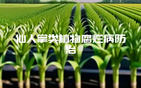 仙人掌类植物腐烂病防治-会东网
