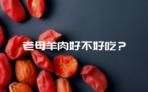 老母羊肉好不好吃?插图 老母羊肉好不好吃?插图