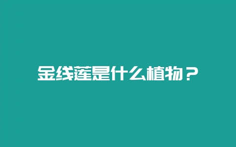 金线莲是什么植物？-会东网