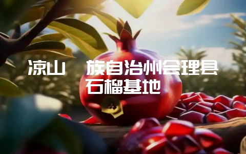 凉山彝族自治州会理县石榴基地-会东网