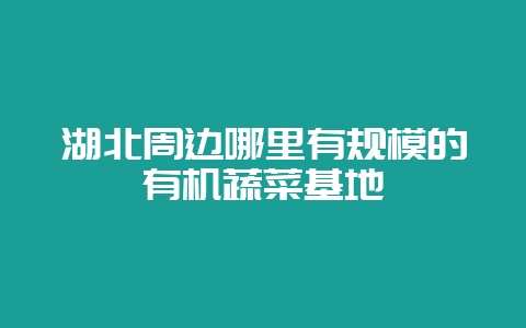 湖北周边哪里有规模的有机蔬菜基地-会东网