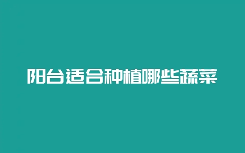 阳台适合种植哪些蔬菜-会东网