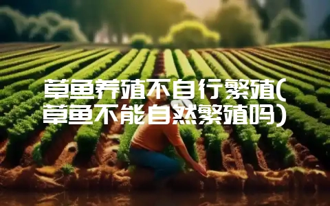 草鱼养殖不自行繁殖(草鱼不能自然繁殖吗)-会东网