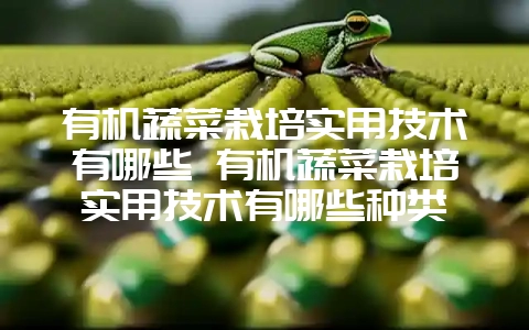 有机蔬菜栽培实用技术有哪些 有机蔬菜栽培实用技术有哪些种类-会东网