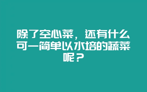 除了空心菜，还有什么可一简单以水培的蔬菜呢？-会东网