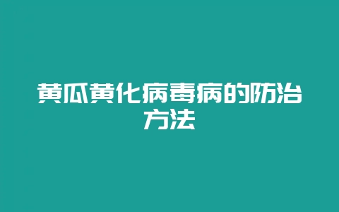 黄瓜黄化病毒病的防治方法-会东网
