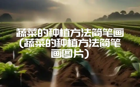 蔬菜的种植方法简笔画(蔬菜的种植方法简笔画图片)-会东网