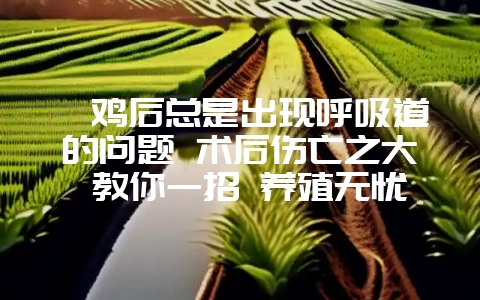 阉鸡后总是出现呼吸道的问题 术后伤亡之大 教你一招 养殖无忧愁-会东网