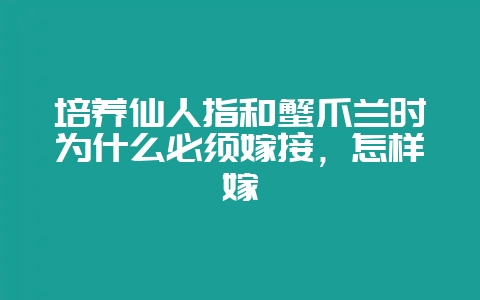 培养仙人指和蟹爪兰时为什么必须嫁接，怎样嫁-会东网