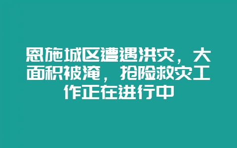 恩施城区遭遇洪灾，大面积被淹，抢险救灾工作正在进行中-会东网