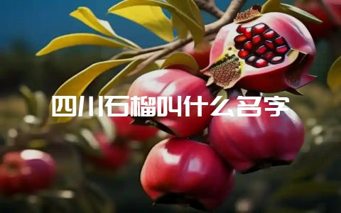 四川石榴叫什么名字-会东网