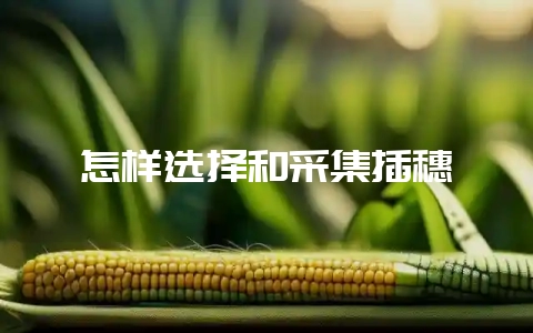 怎样选择和采集插穗-会东网