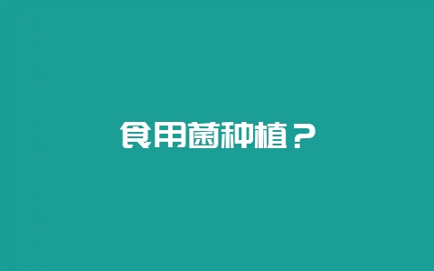 食用菌种植？-会东网