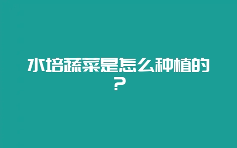水培蔬菜是怎么种植的?-会东网