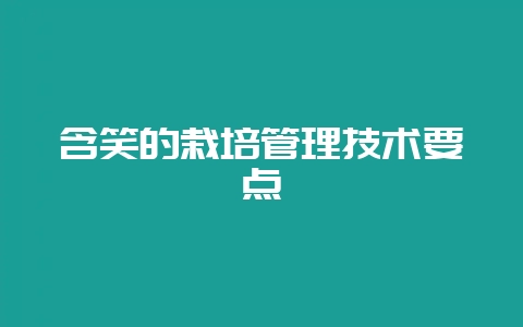含笑的栽培管理技术要点-会东网