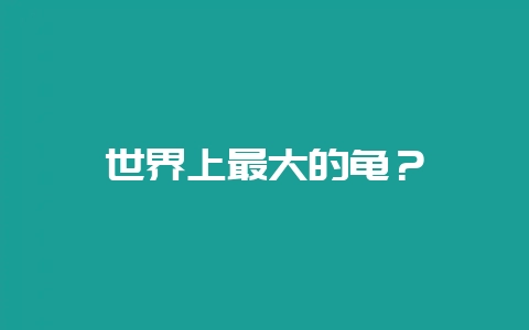世界上最大的龟？-会东网