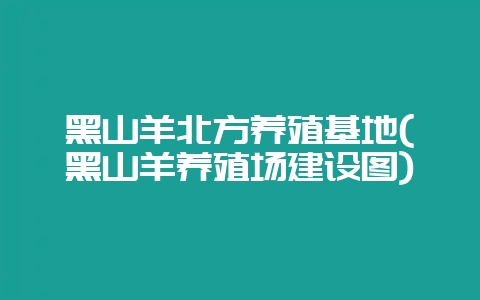 黑山羊北方养殖基地(黑山羊养殖场建设图)-会东网