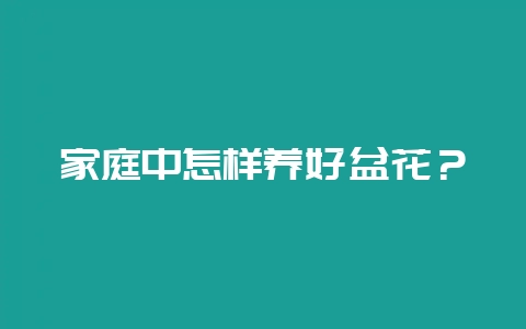 家庭中怎样养好盆花？-会东网