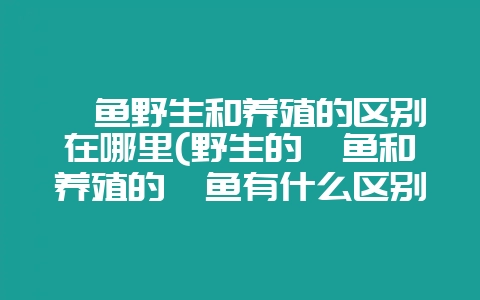 鲶鱼野生和养殖的区别在哪里(野生的鲶鱼和养殖的鲶鱼有什么区别)-会东网