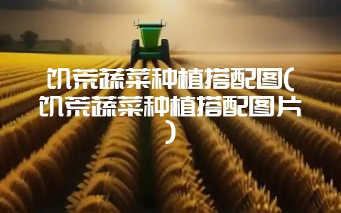 饥荒蔬菜种植搭配图(饥荒蔬菜种植搭配图片)插图 饥荒蔬菜种植搭配图(饥荒蔬菜种植搭配图片)插图