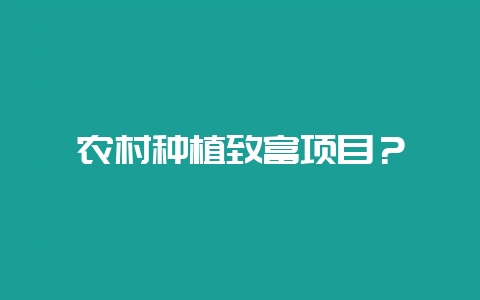 农村种植致富项目?-会东网