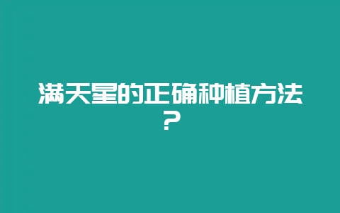 满天星的正确种植方法？-会东网