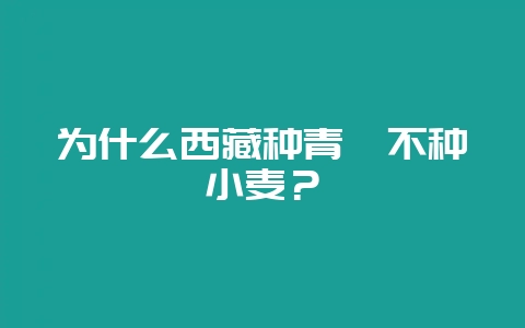 为什么西藏种青稞不种小麦？-会东网