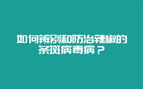 如何辨别和防治辣椒的条斑病毒病？-会东网