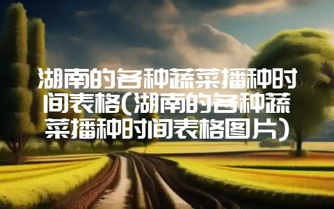 湖南的各种蔬菜播种时间表格(湖南的各种蔬菜播种时间表格图片)-会东网