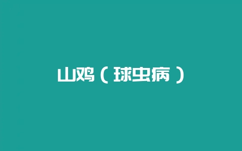 山鸡（球虫病）-会东网