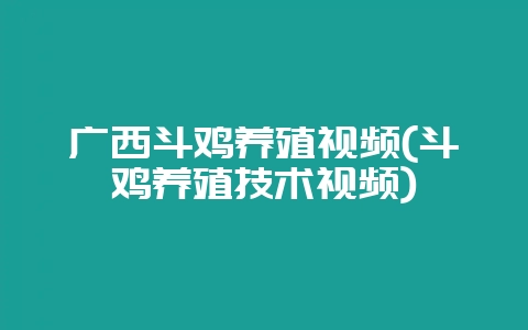 广西斗鸡养殖视频(斗鸡养殖技术视频)-会东网