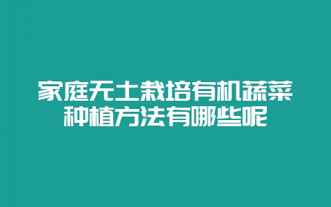 家庭无土栽培有机蔬菜种植方法有哪些呢-会东网
