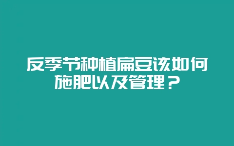 反季节种植扁豆该如何施肥以及管理?-会东网