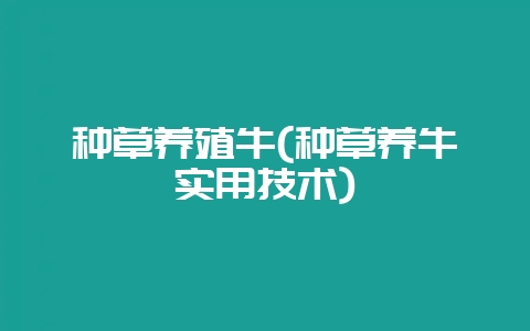 种草养殖牛(种草养牛实用技术)-会东网