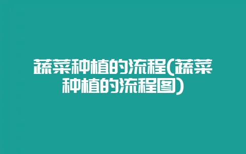蔬菜种植的流程(蔬菜种植的流程图)-会东网