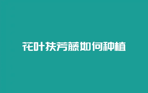 花叶扶芳藤如何种植-会东网