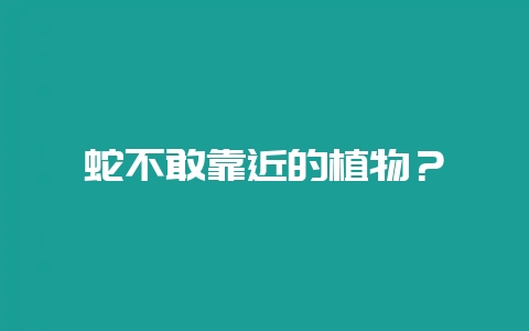 蛇不敢靠近的植物？-会东网