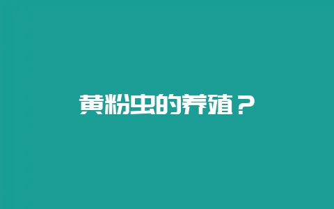 黄粉虫的养殖？-会东网