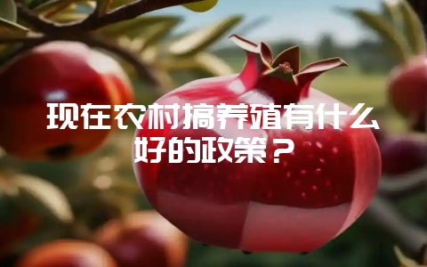 现在农村搞养殖有什么好的政策？-会东网