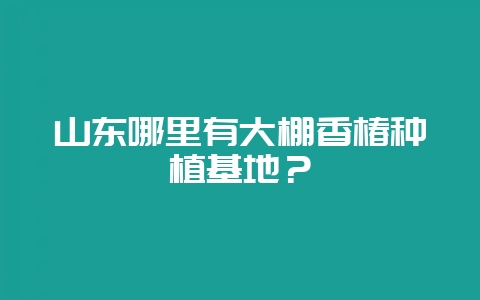 山东哪里有大棚香椿种植基地?插图 山东哪里有大棚香椿种植基地?插图