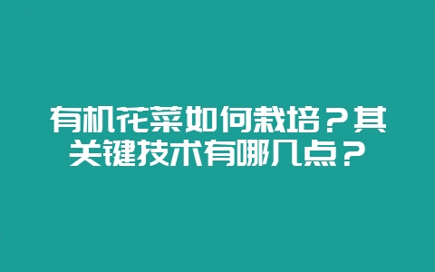 有机花菜如何栽培？其关键技术有哪几点？-会东网