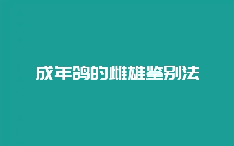 成年鸽的雌雄鉴别法-会东网