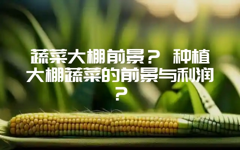 蔬菜大棚前景？ 种植大棚蔬菜的前景与利润？-会东网