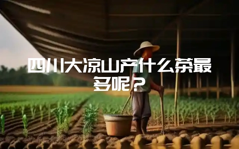 四川大凉山产什么茶最多呢？-会东网
