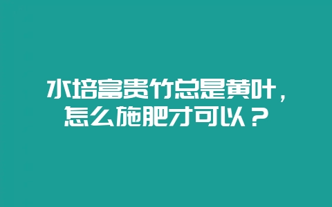 水培富贵竹总是黄叶，怎么施肥才可以？-会东网