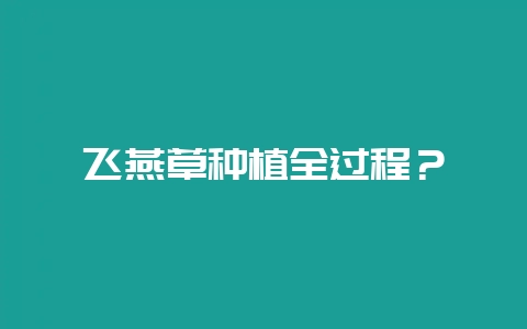 飞燕草种植全过程？-会东网